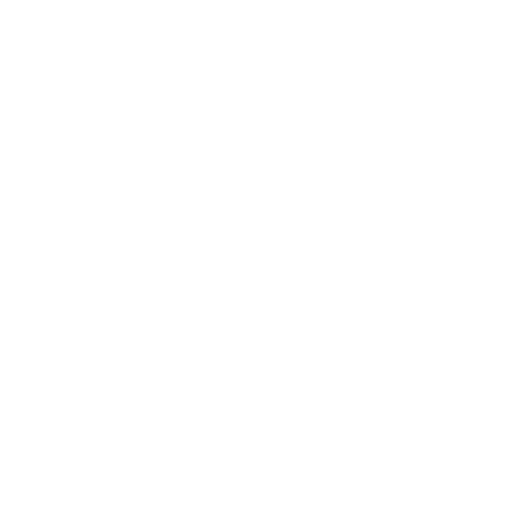 DartPoints logo
