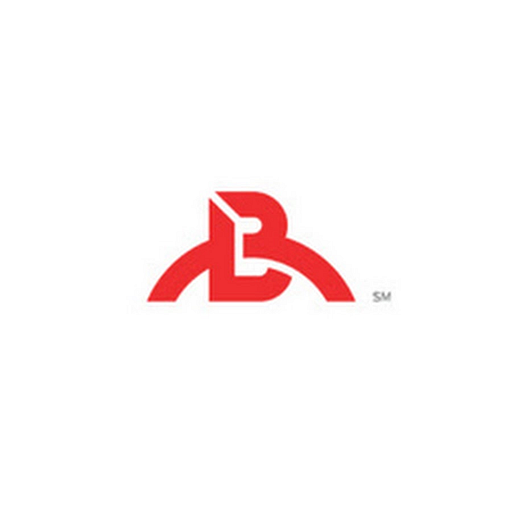 BeyondReach logo